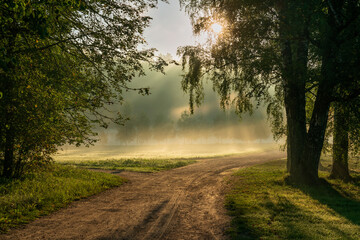 The country road near the Mikhailovskoye estate through the Festive glade on the territory of the Pushkin Museum-Reserve on a sunny foggy morning, Pushkinskiye Gory, Pskov region, Russia © Ula Ulachka