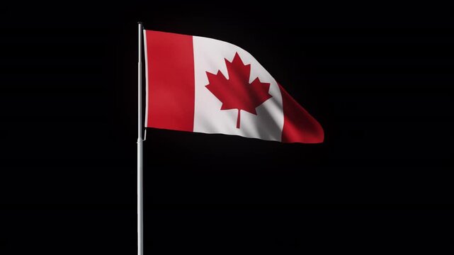Canadian flag maple leaf symbol on white. Suitable for patriotic designs, educational materials, cultural content, travel brochures, logos, and national celebrations.