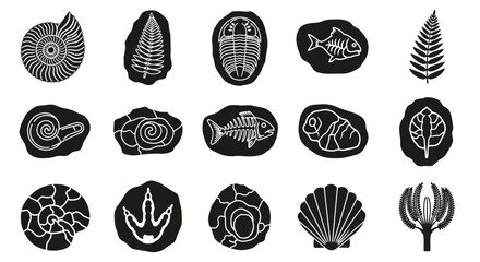 Fossil icons, ancient sea creatures, black and white illustrations, 15 vector graphics © Adam