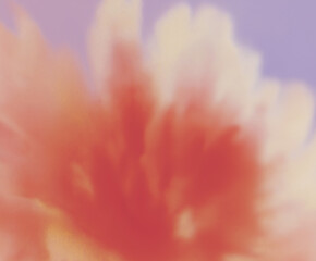 抽象的, ぼかし, フラワーアート, 花, 柔らかい色, パステルカラー, アート写真, 背景用, 穏やか, やさしい雰囲気, ドリーミー, ピンク, オレンジ, ライトブルー, 霞んだ, 美しい背景, ふんわり, 柔らかい, 植物, 自然, 風景, 静けさ, 癒し, ソフトフォーカス, スローフォト, 花びら, 春, 芸術的, エレガント, グラデーション, ロマンチック, クリーン, ミニマル