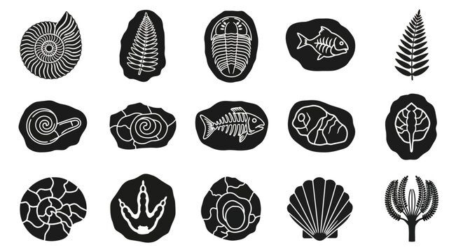 Fossil icons, ancient sea creatures, black and white illustrations, 15 vector graphics