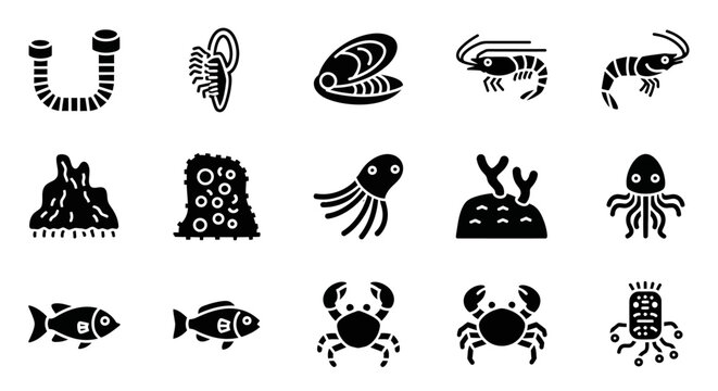 Seafood icons, ocean creatures, black silhouettes, vector set of 13