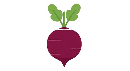 Beetroot Vegetable Illustration on White Background.