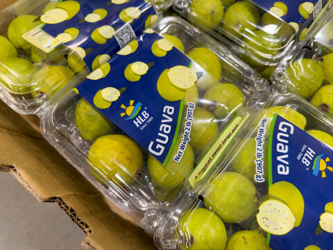 HLB Guava Fresh Tropical Fruit Clamshell Packages Display At Costco Warehouse Produce Section