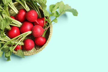 Wicker bowl with ripe radish on turquoise background