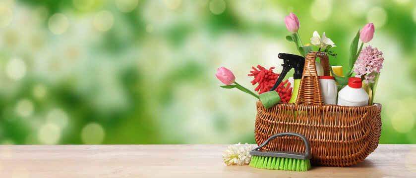Wicker basket with bottles of detergents, cleaning tools and spring flowers on table against white background