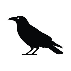 Obraz premium Silhouette of a raven perched displaying its distinctive form and features