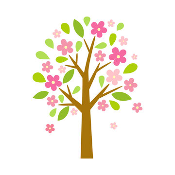 Cherry blossom tree design element isolated on white background.