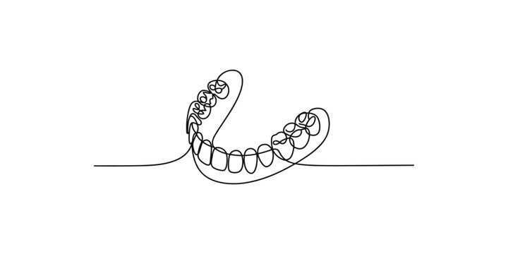 A continuous line drawing of a human lower jaw with teeth on white background