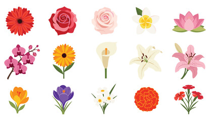 Large collection of various common garden and floral shop flowers including roses lilies orchids and daisies on a white background.