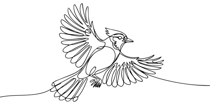 Blue Jay in flight plumage continuous one line drawing, Bird line drawing. One continuous line drawing ruffled bird, Hand Drawn Cute Bird Vector sketch icon isolated on white background. Design