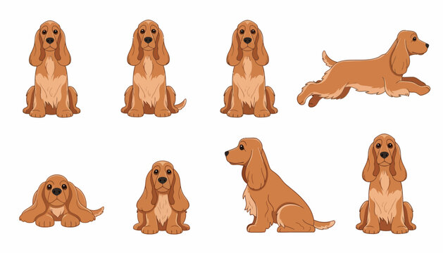 English Cocker Spaniel Cartoon Illustration Set Featuring Multiple Poses Including Sitting, Running, and Lying Down on a White Background for Pet Design Project