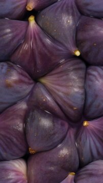 Close-up of ripe purple figs squishing together in a continuous loop.