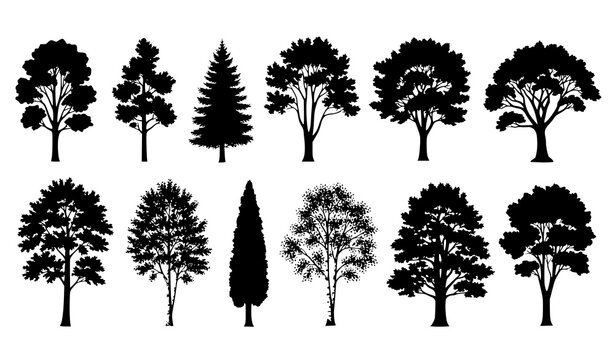 Tree silhouettes vector set various forest trees collection isolated on white background