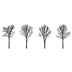 Obraz premium Four bare trees in a row