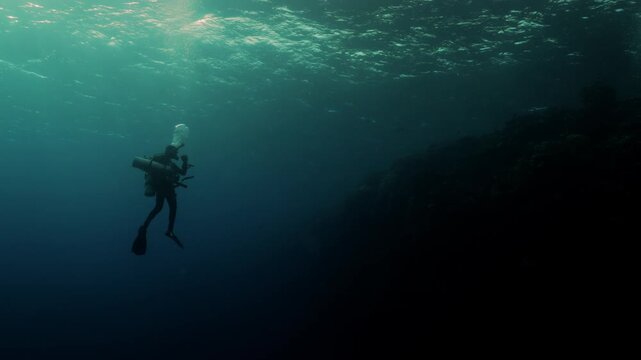 Silhouettes of scuba divers ascending toward the ocean surface in the Red Sea. Sunlight filters through clear blue water as the divers slowly rise, creating a dramatic underwater scene.