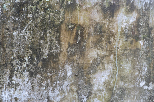 Weathered Mossy Wall Texture Background
