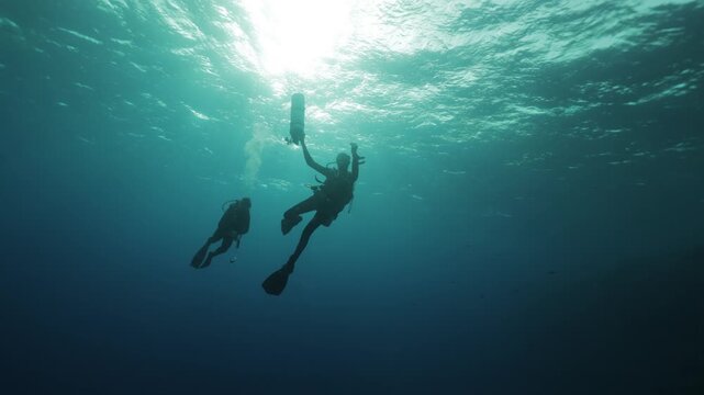 Silhouettes of scuba divers ascending toward the ocean surface in the Red Sea. Sunlight filters through clear blue water as the divers slowly rise, creating a dramatic underwater scene.