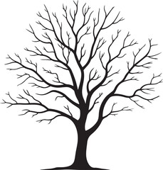 Obraz premium Leafless tree silhouette isolated on white background
