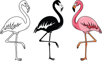 Obraz premium Three flamingos in different colors