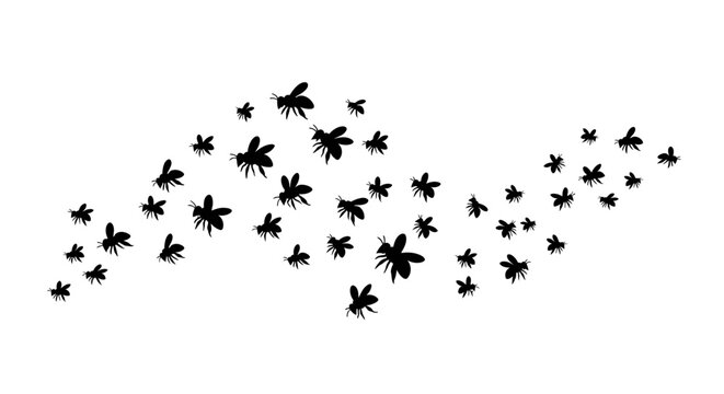 Black insect swarm silhouettes flying on a white background