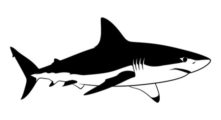 Obraz premium Close up view of a shark swimming underwater.