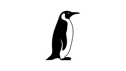 Obraz premium Penguin standing on white background alone.