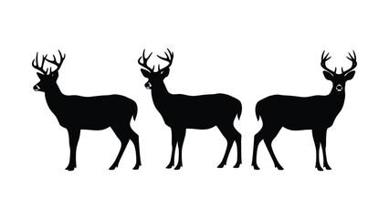 Fototapeta premium Three deer silhouettes stand in a row facing forward with defined antlers