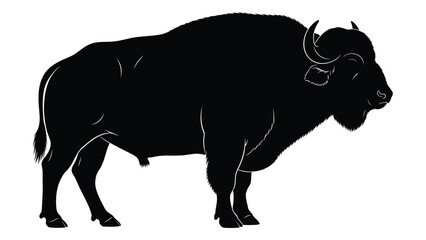 A striking silhouette of a cape buffalo standing in profile showcasing its powerful build © Payara