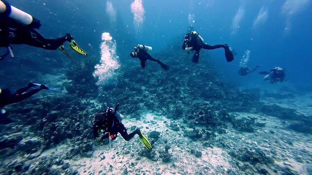 Wide angle shot of a group of scuba divers in black wetsuits exploring a vibrant coral reef in clear blue tropical ocean water on a bright sunny day with bubbles rising toward the sunlit surface