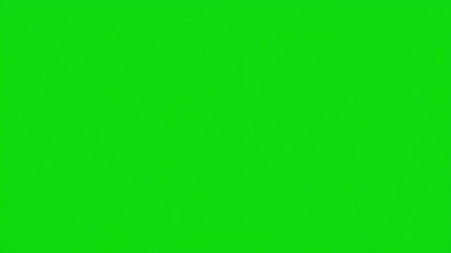 Clean Plate VFX Asset with red curtain opening green screen background distortion, overlay, glitch, static noise, scan lines on black background, 4k animated video loop