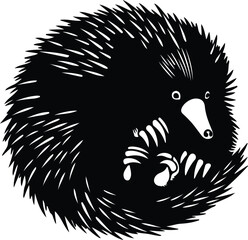 Fototapeta premium Silhouette stylized echidna spiny anteater animal curled into ball vector design