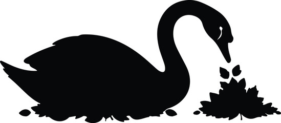 Silhouette black swan feeding on lotus flowers serene vector design © AbuSadat