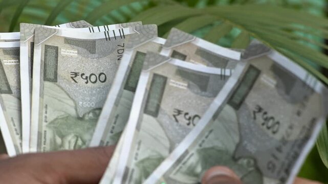 Close up of hand counting Indian five hundred rupee notes. Macro shot of the Reserve Bank of India 500 rupee note details. Indian Rupees counting. Indian currency View. 