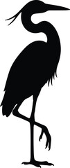 Fototapeta premium Silhouette of a heron bird standing on one leg vector design