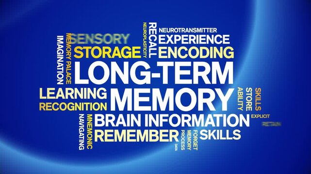 Long-Term Memory animated word cloud-text design animation tag kinetic typography seamless loop.