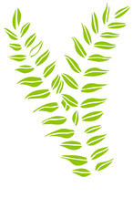 Green Botanical Leaf Illustration Set