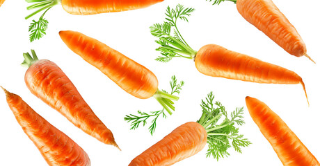 Fototapeta premium Bunches of fresh orange carrots with green tops arranged in a scattered layout isolated on white background, organic healthy food