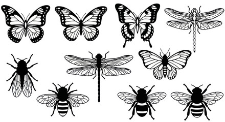 Collection of Butterfly and Dragonfly Illustrations, Vector Insects © budi