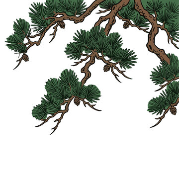 日本画タッチの松の木イラスト素材 / Japanese-style pine tree illustration material