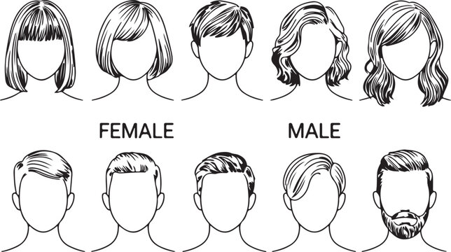 Diverse selection of modern male and female hairstyles for various character depictions