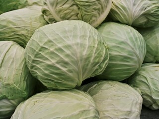 cabbage in the market