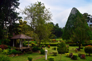 Obraz premium Sri Lanka's largest botanical garden in Peradeniya near Kandy. 