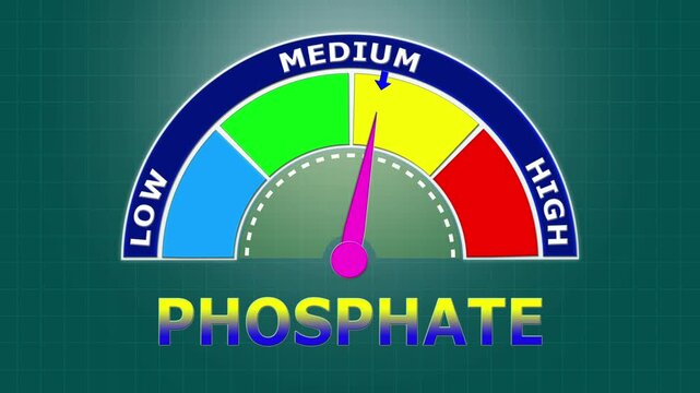 4K Animated Phosphate Level Meter Increasing from Low to High Levels , Assessing Phosphorus Balance for Bone Health and Renal Function
