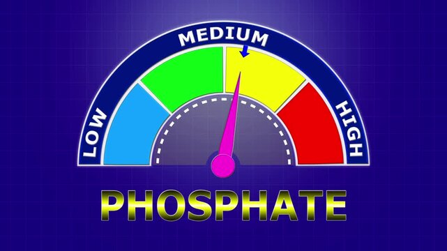 4K Animated Phosphate Level Meter Increasing from Low to High Levels , Assessing Phosphorus Balance for Bone Health and Renal Function