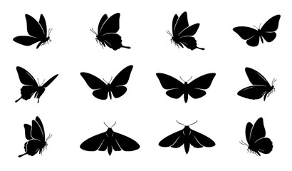Minimal Butterfly and Moth Silhouette Vector Pack © Songkari