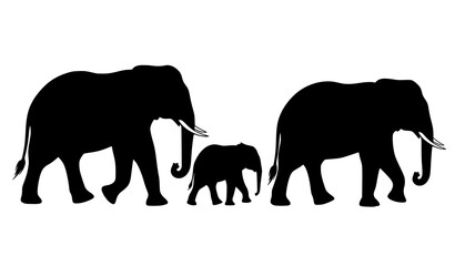 Elephant Family Silhouette African Wildlife Vector Illustration Set © Songkari