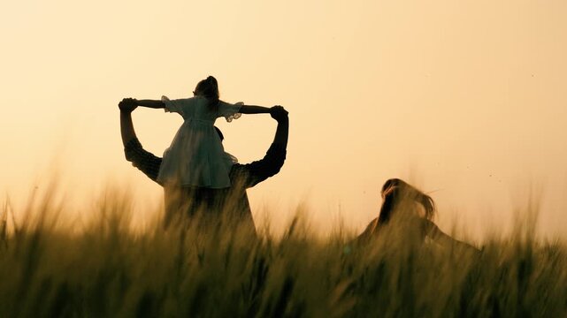 silhouette father mother child girl daughter sitting shoulders, happy family running into sunset, agriculture, wheat field sunset, happy family with child daughter running through wheat field sunset