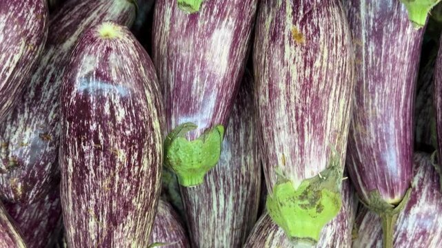 Eggplants with distinctive purple and white stripes create a vibrant vegetable background