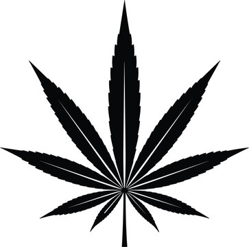 Isolated Black Silhouette of Sharp Marijuana Leaf Vector Illustration for Cannabis Dispensary Branding Medical Hemp Products and Industrial Herbal Design